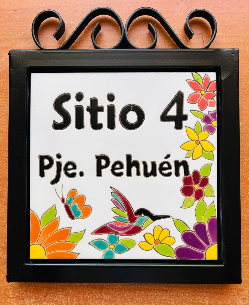 Diseño Medio contorno